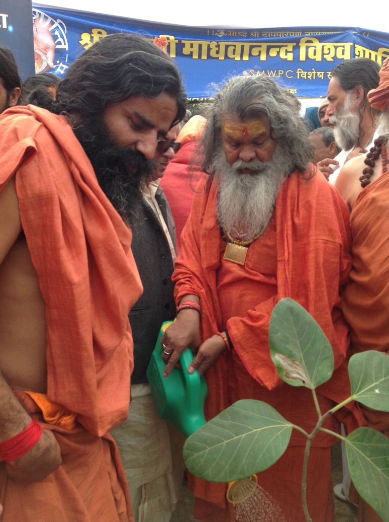 blessed peace tree Paramhans Maheshwarananda and Baba Ramdev blessed peace tree Paramhans Maheshwarananda and Baba Ramdev
