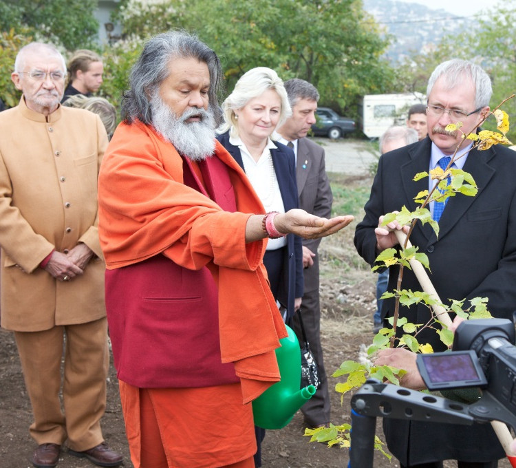 Tree planting Tree planting 2.750