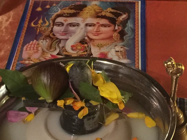 Auckland Auckland 2 600