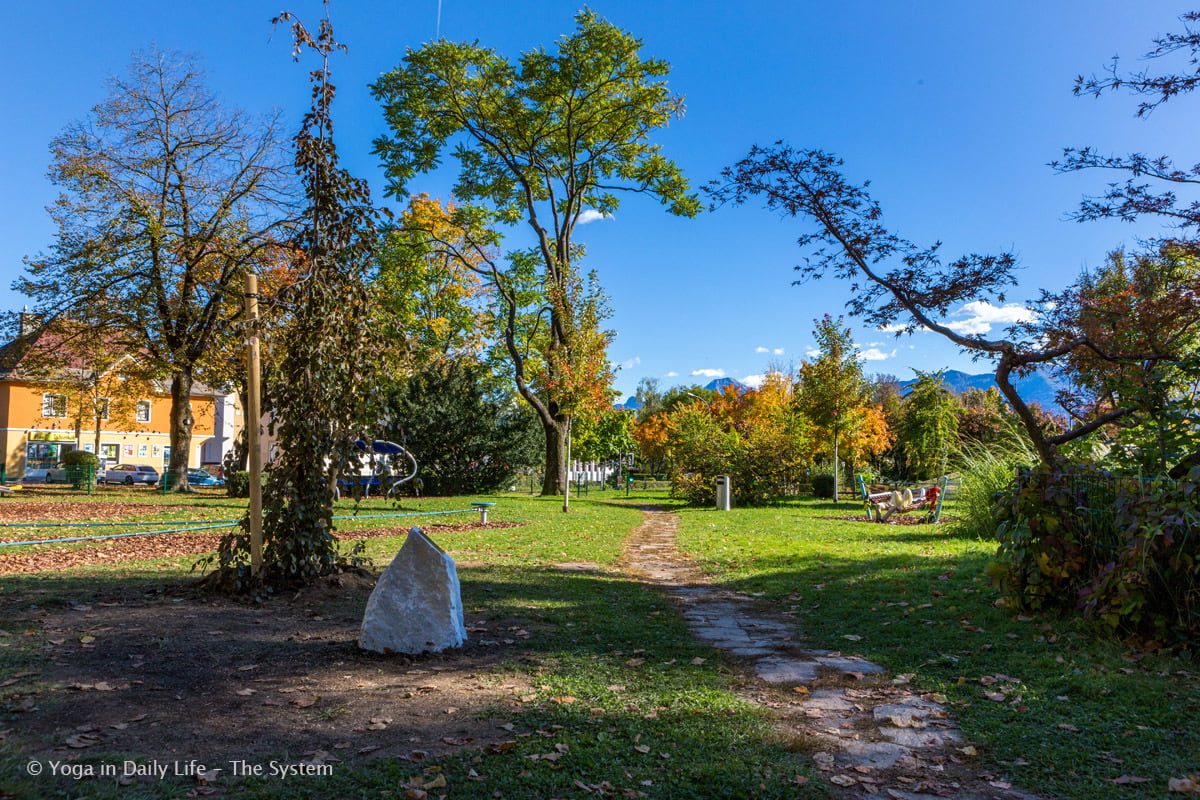 1U4A1797 7 10 2017 1200