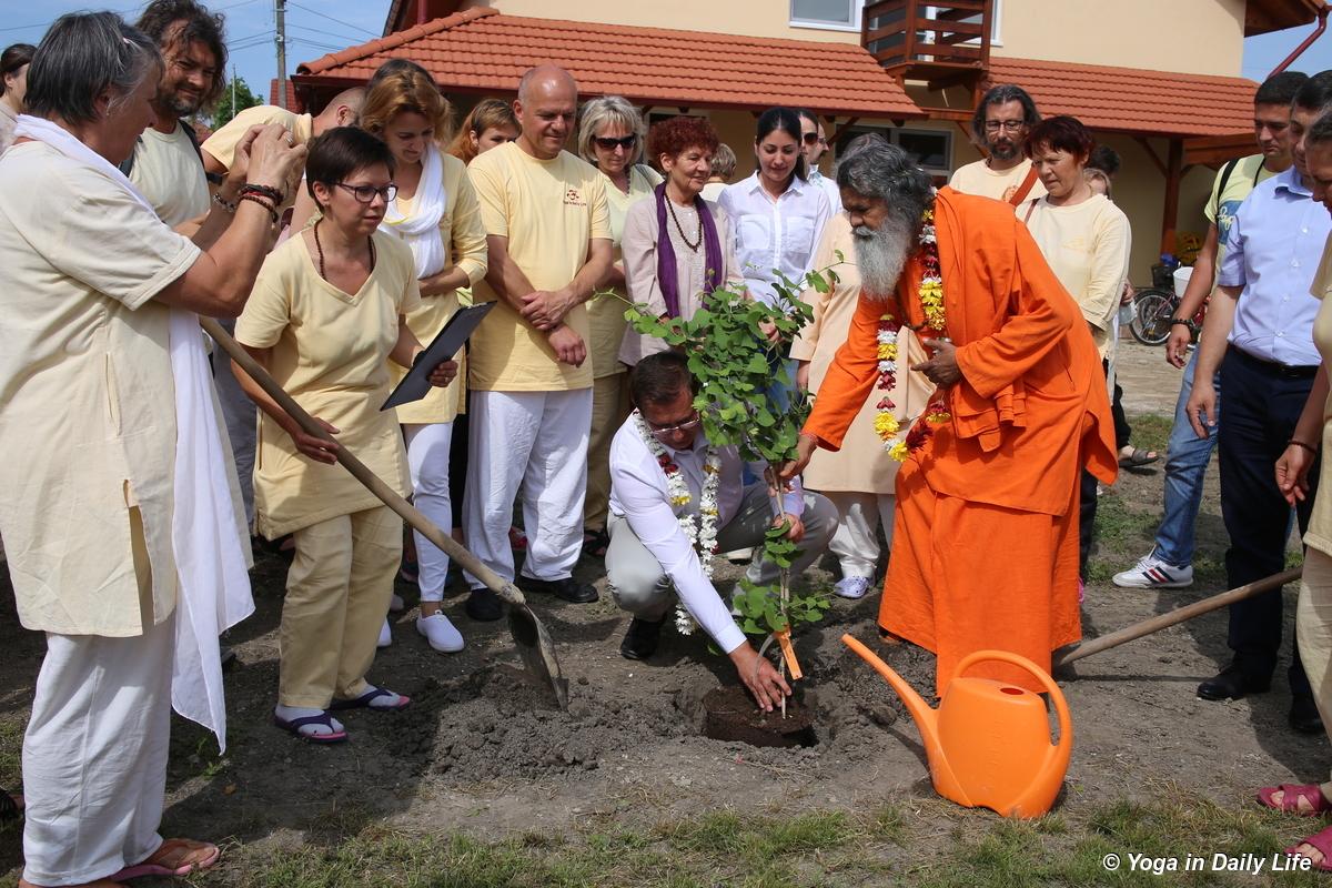 5img 1962 72dpi 1200 wm