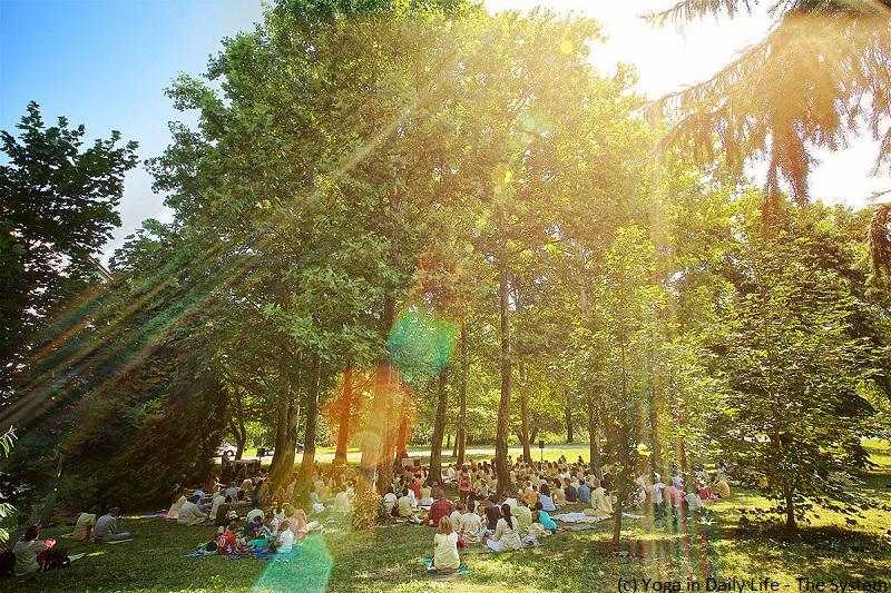 Photo – Swamiji with group on the meadow summer seminar vep 2018 3b