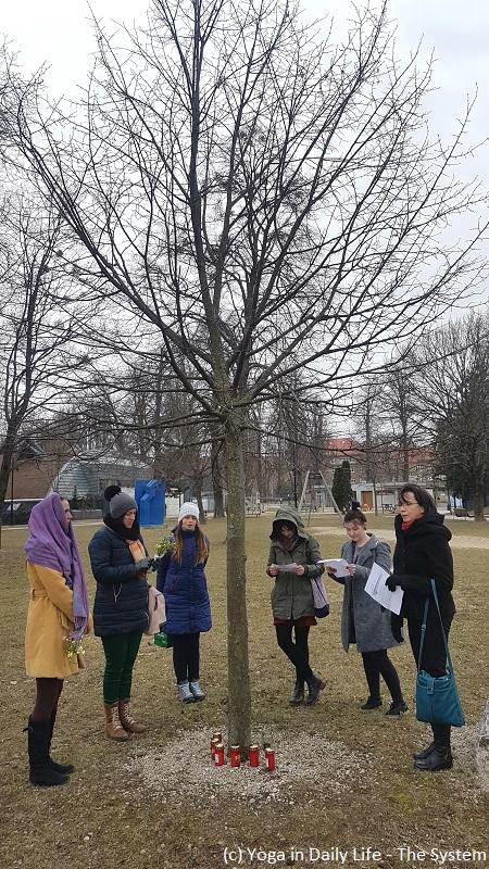 SK Košice sk košice