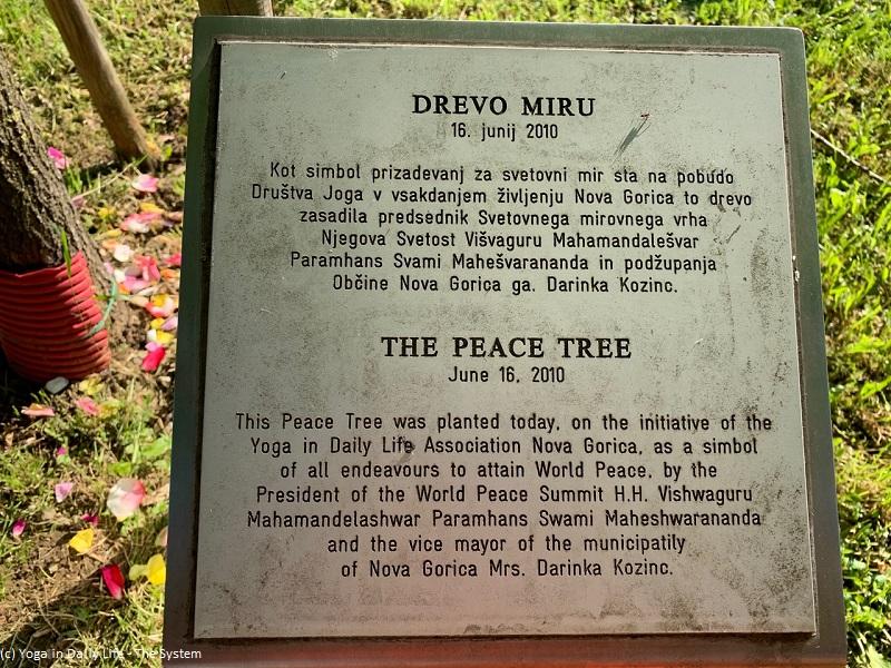 Slovenian Ashram Tour: Ljubljana, Koper, Nova Gorica, Novo Mesto nova gorica peace tree 2