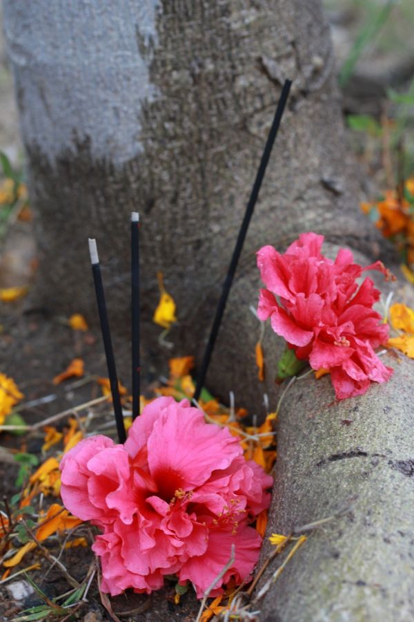 india jadan day of peace