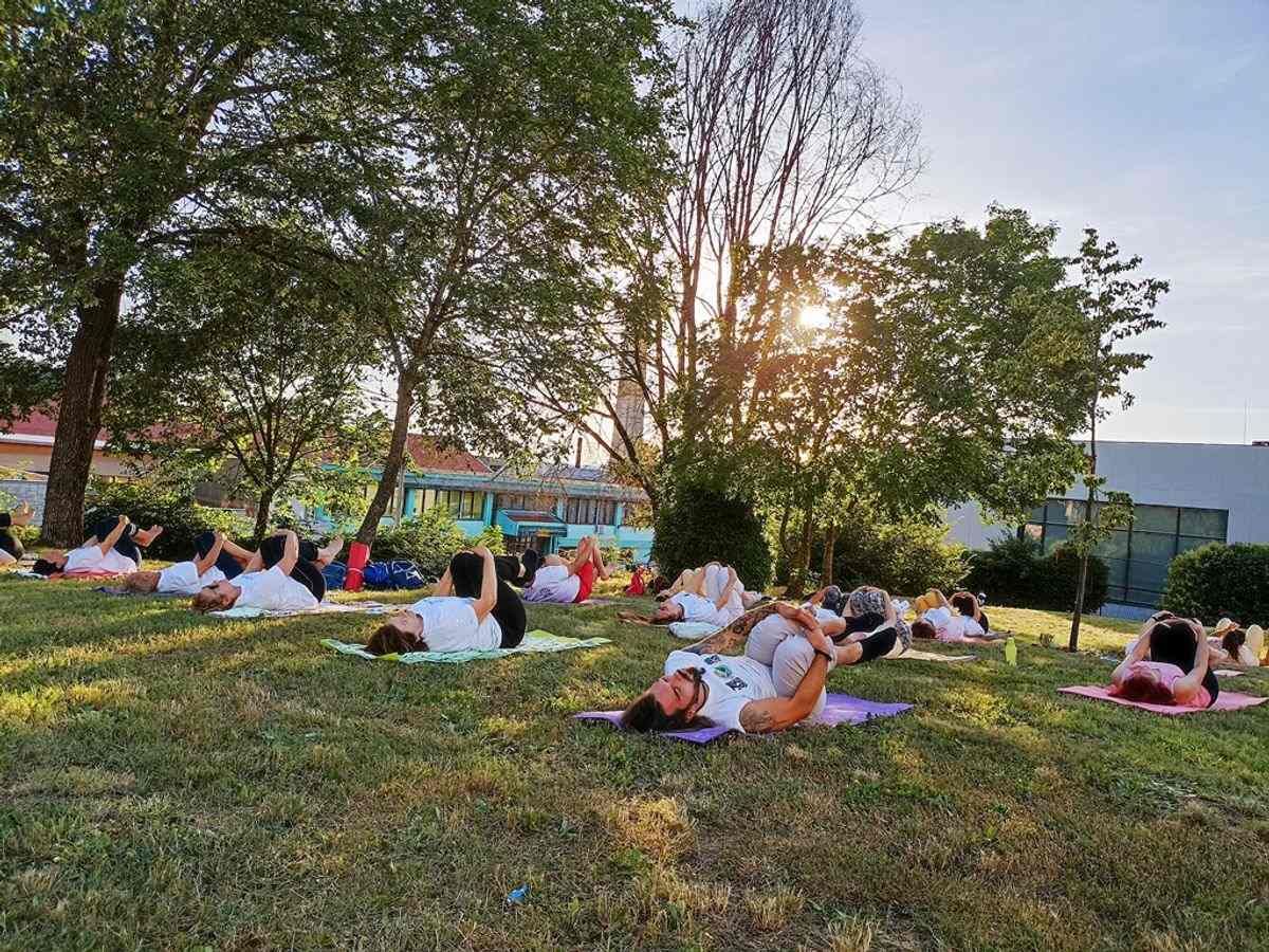 idy yidl croatia 15