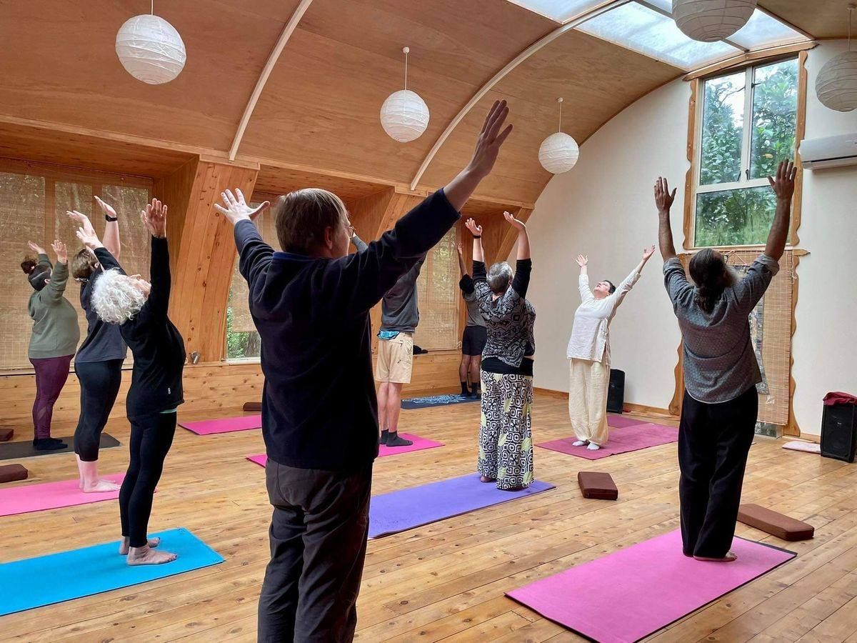 idy nz northshore2jpg