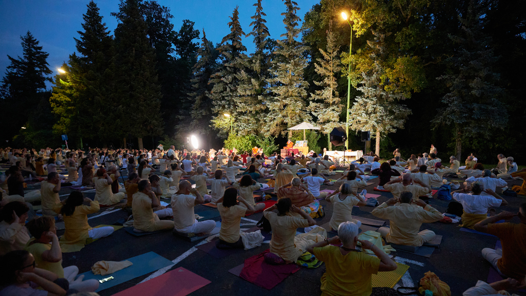 yoga in daily life yoga camp 7