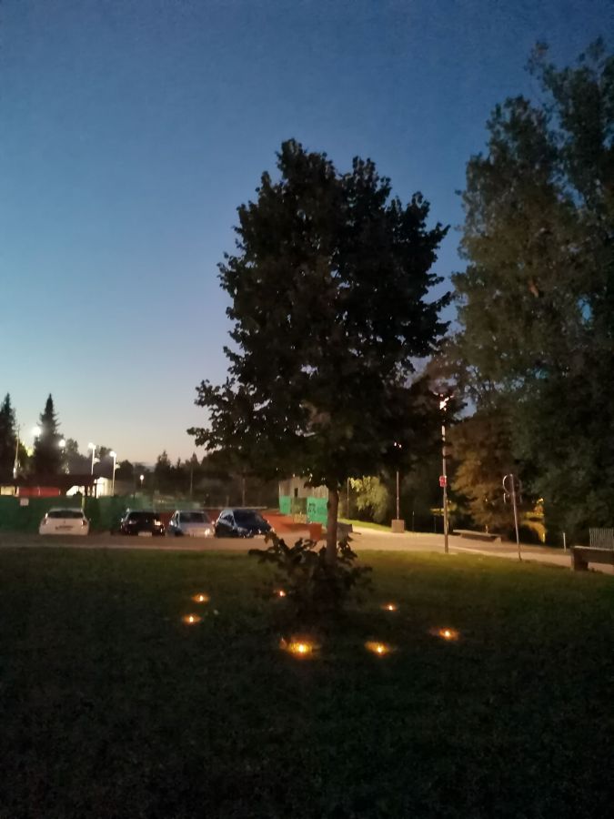 worldpeaceday 2022 novomestoslovenia