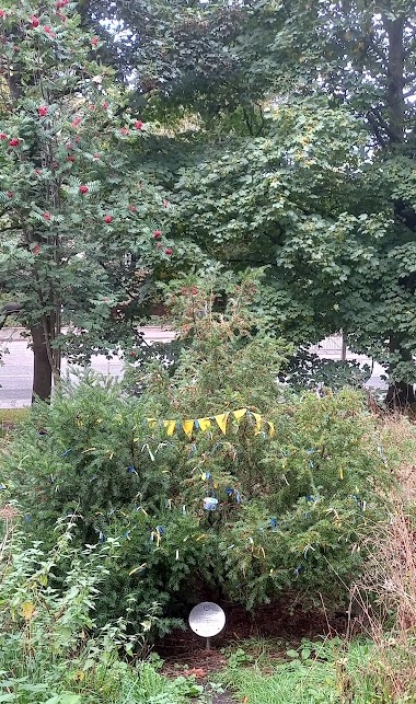 edinburgh peace tree idp sept 2022