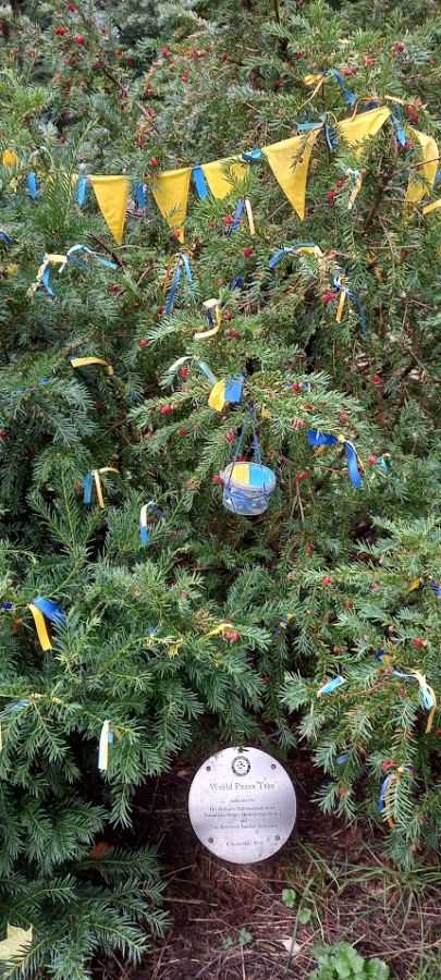 edinburgh peace tree 21 sept 2022