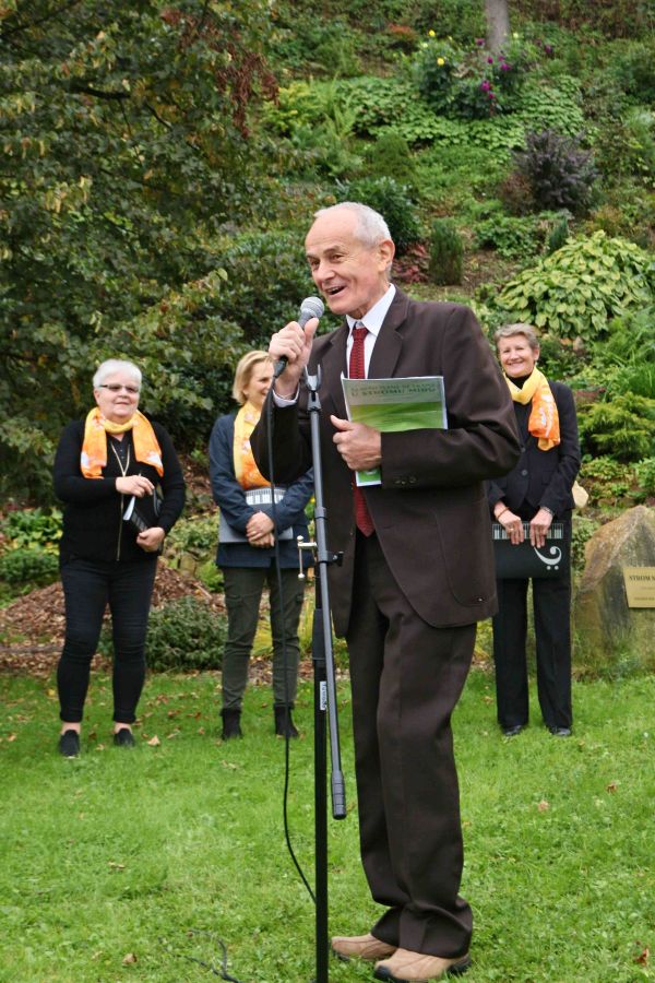 yoga in daily life cz 2