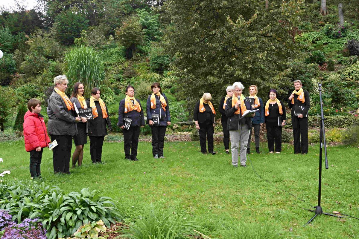 yoga in daily life cz 4