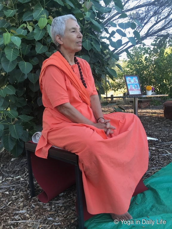 230308 bodhi tree 3 wm