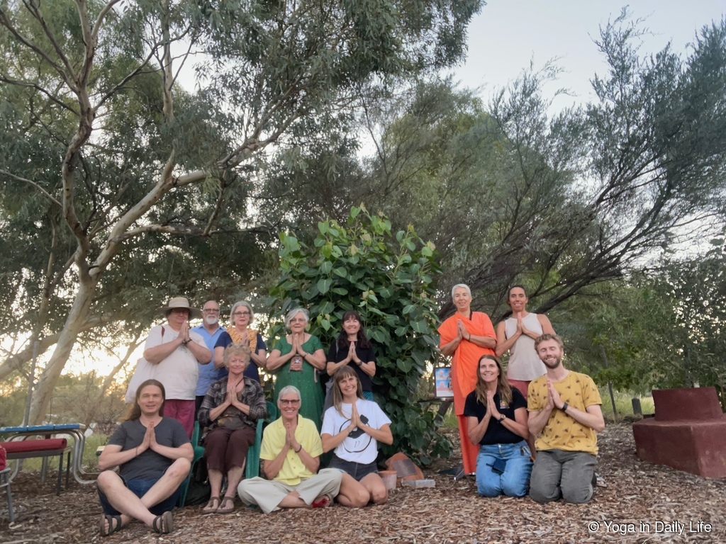 230308 bodhi tree 4 wm