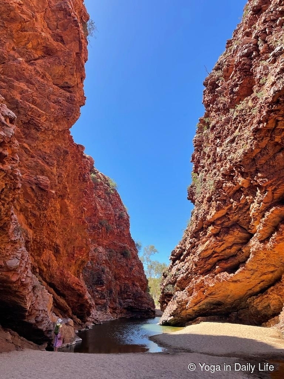 230309 simpsons gap 1 wm