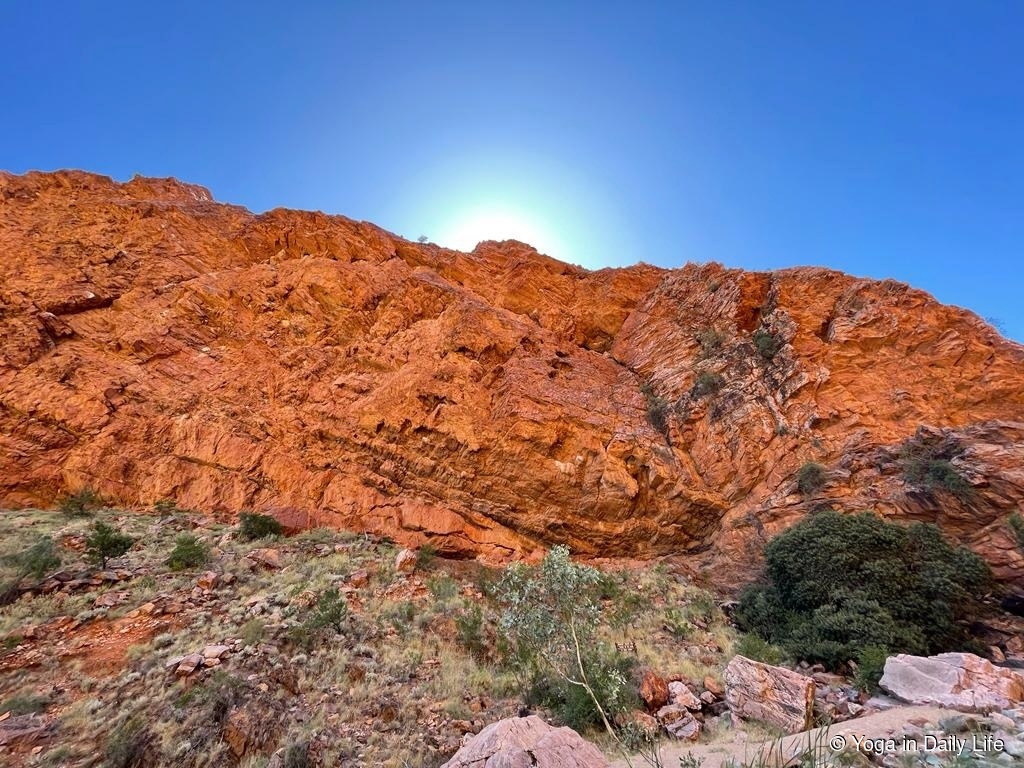 230309 simpsons gap 2 wm