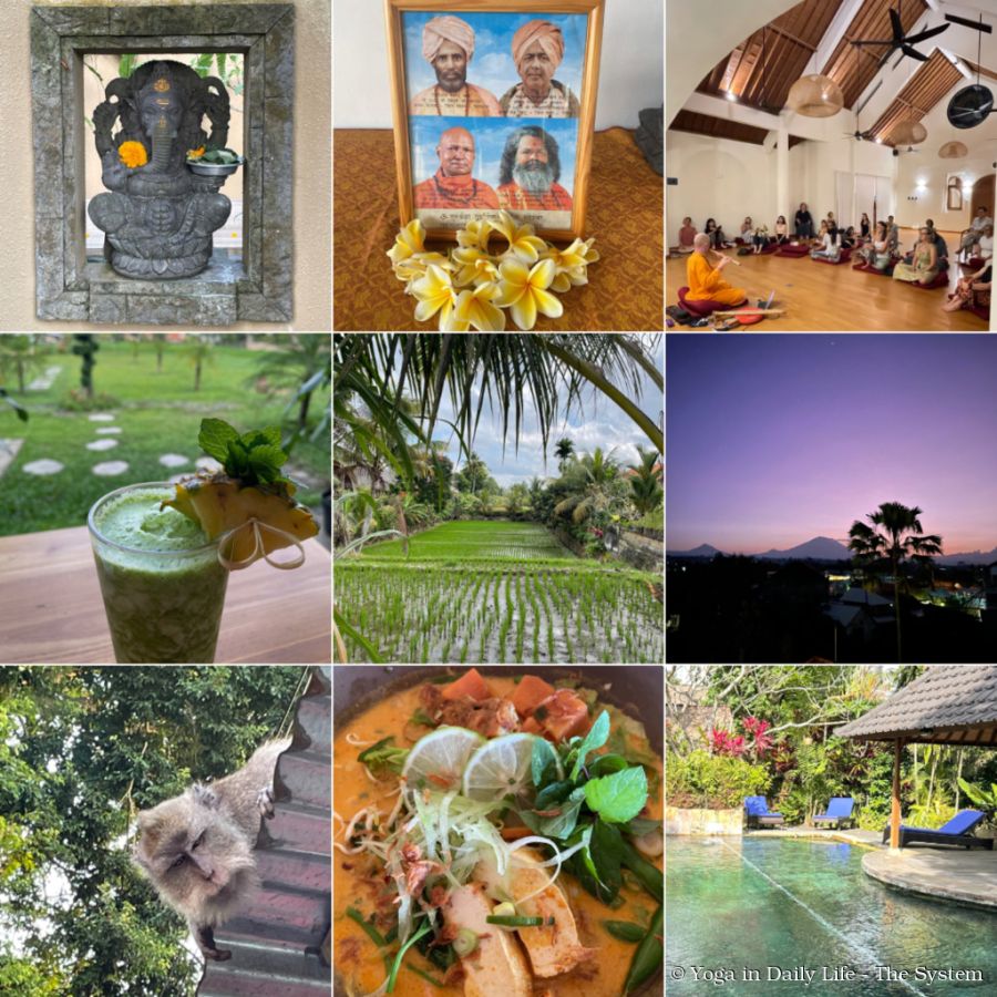 untitled design 2 wm