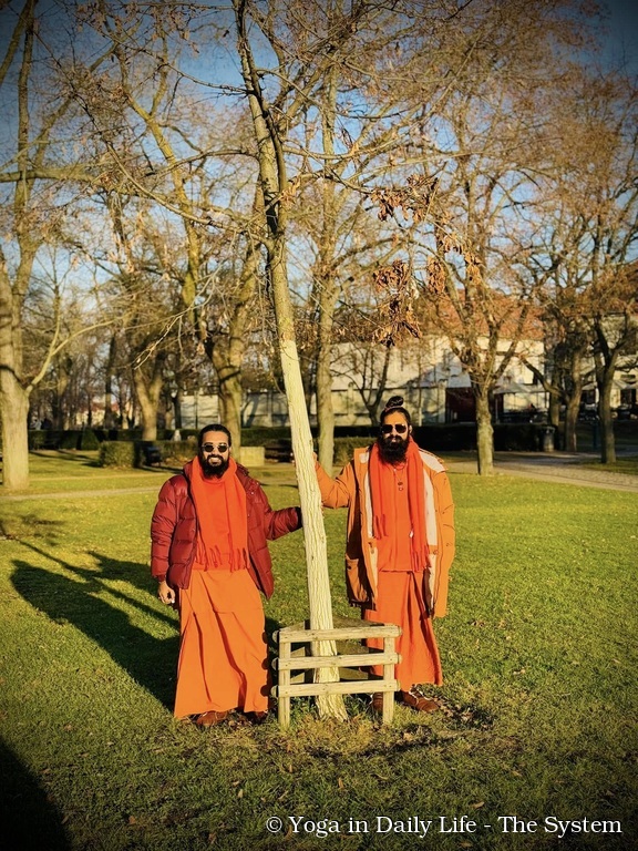 10. prague peace tree wm