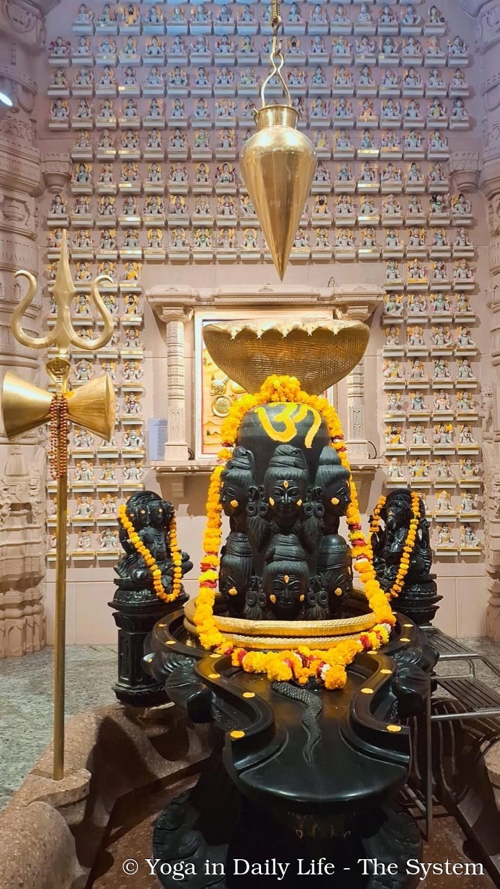 1. om ashram shiva lingam wm
