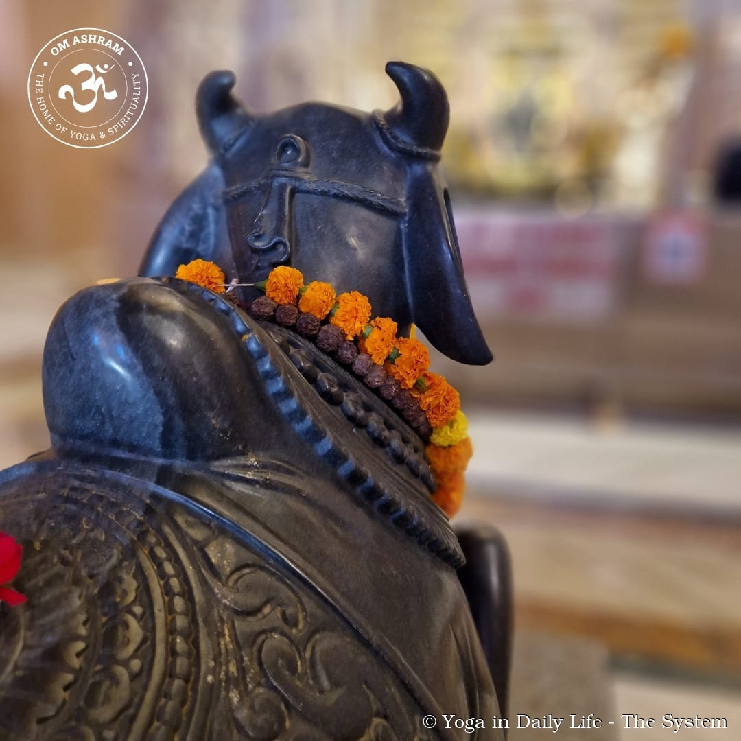 4. om ashram nandi wm