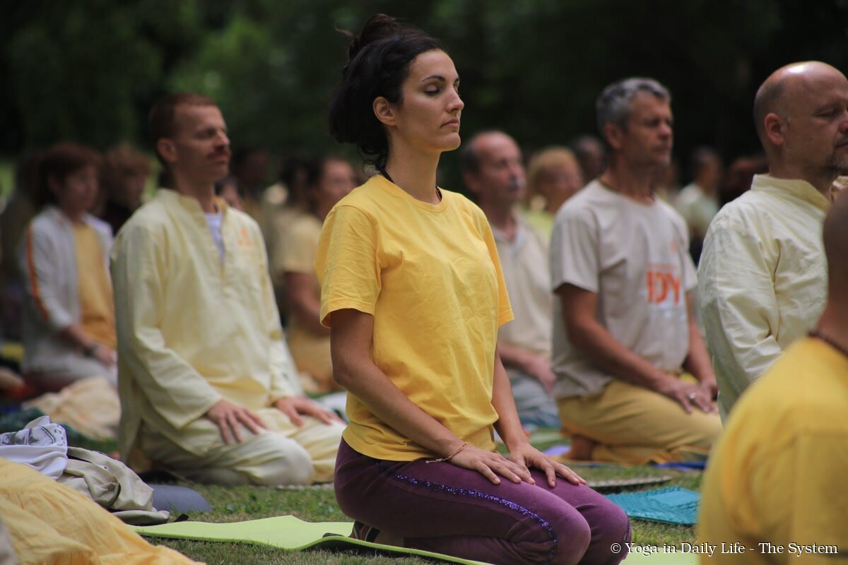 4.1 vajarasana strilky wm