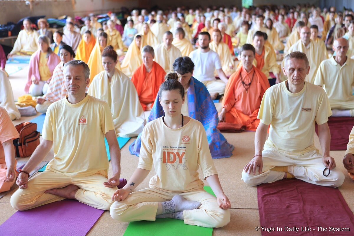 6. meditation wm