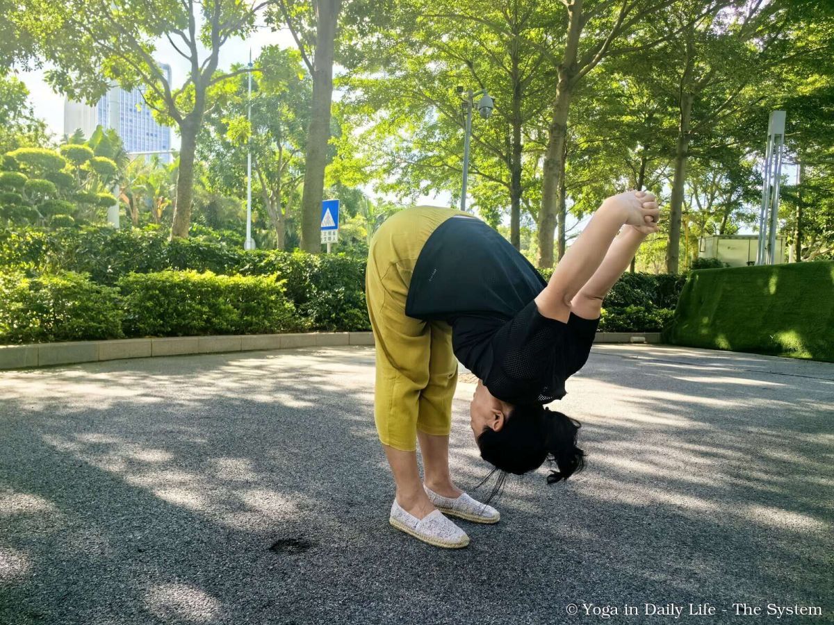 02cc8f690ef07ddf0103e61f33fbcad3 wm