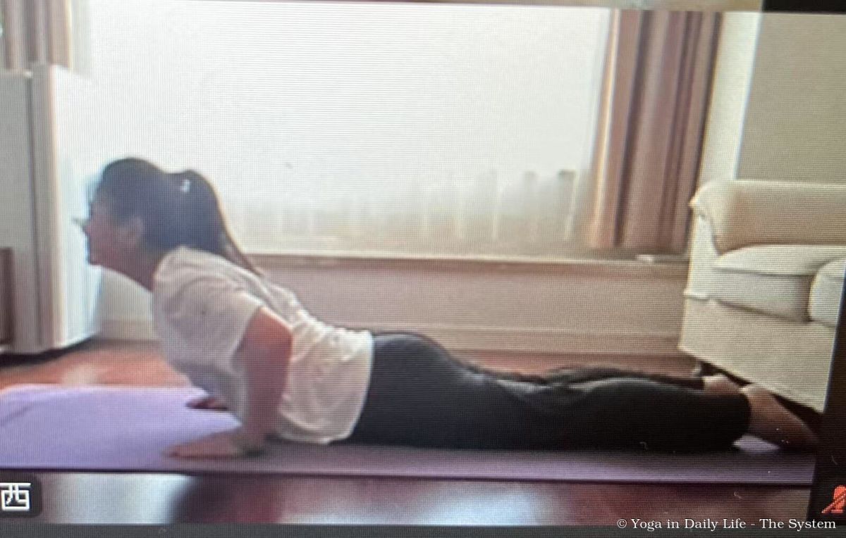 bf55eb7d52dba7153d8d8346b93caef2 wm