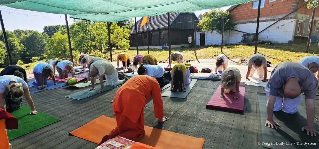 idy 2025 rastovac wm