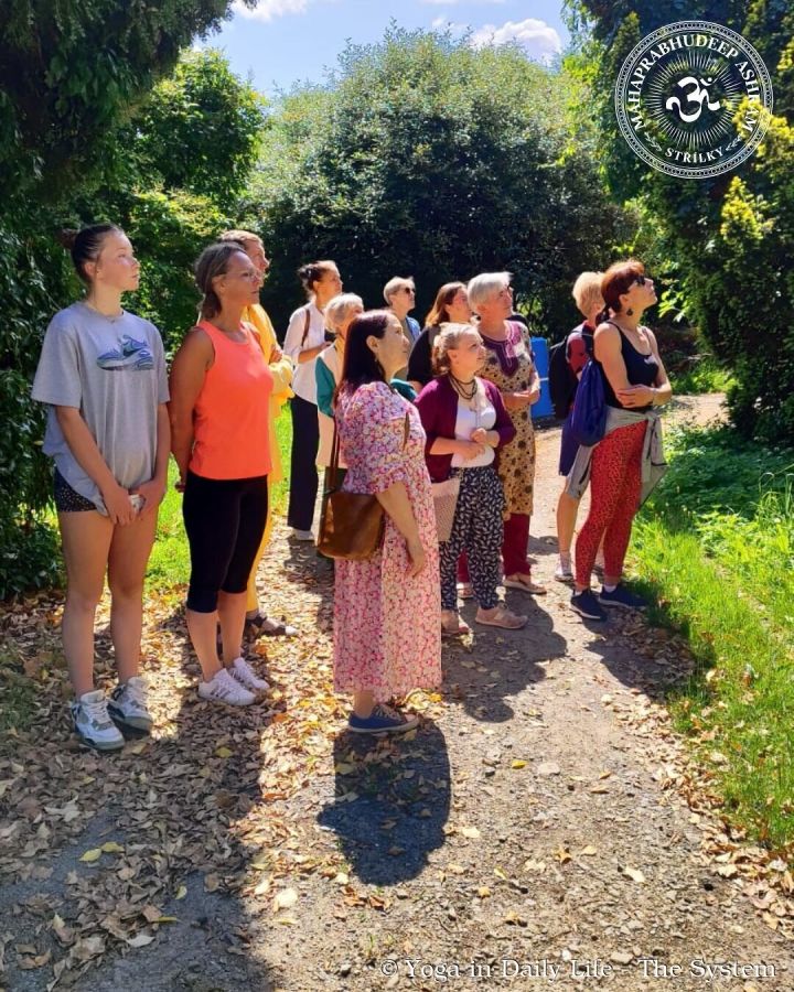 strilky idy 32jpg wm