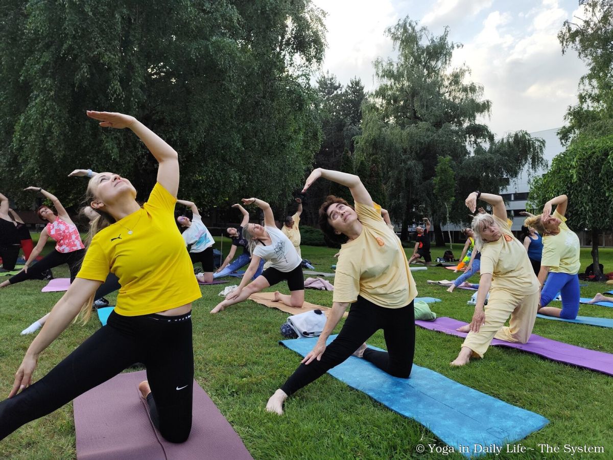 nyíregyháza idy 3 wm