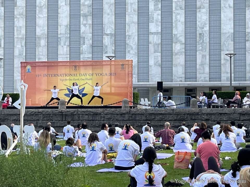 new york idy 2 wm