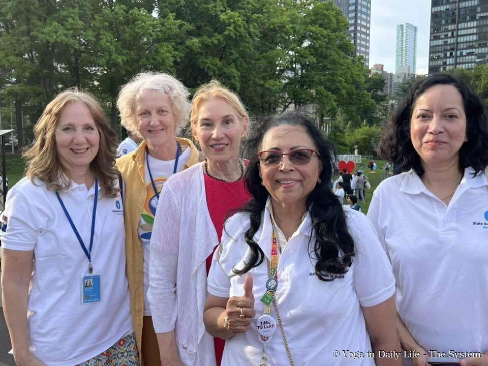 new york idy 5.1. wm