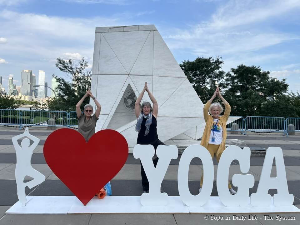 new york idy 6 wm
