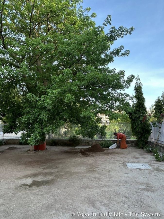 3.4. kalpa vraksh wm