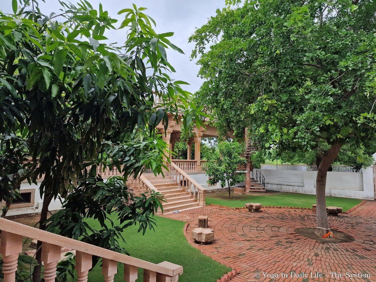 5.4. eating veranda wm