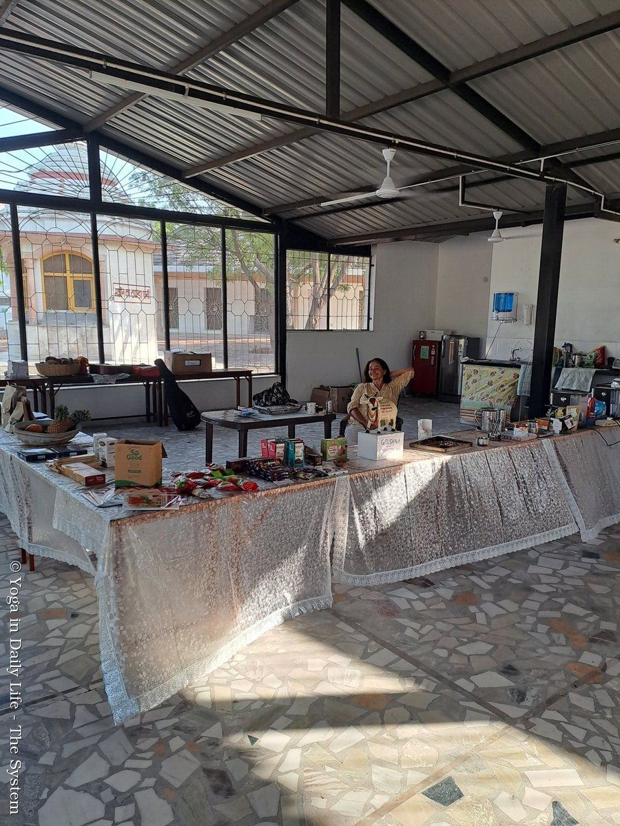 6.6. the organizer hemwati wm