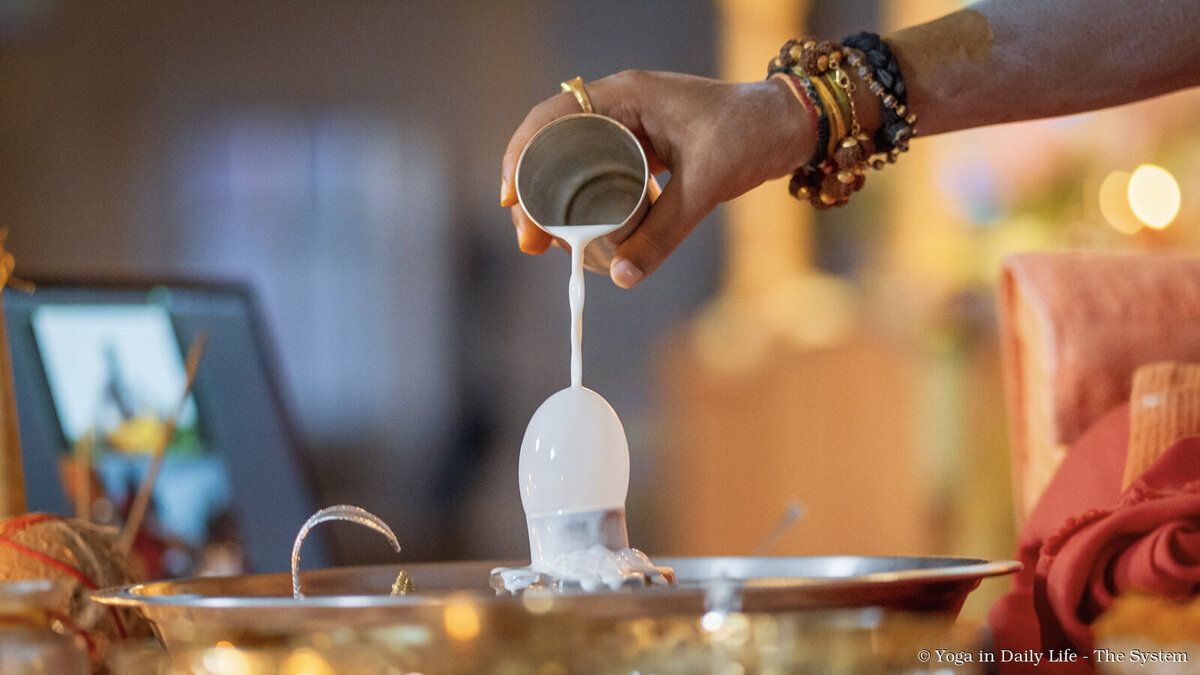 4.2. shiva abishek wm