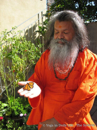 1.3. vishwaguruji butterfly portrait wm