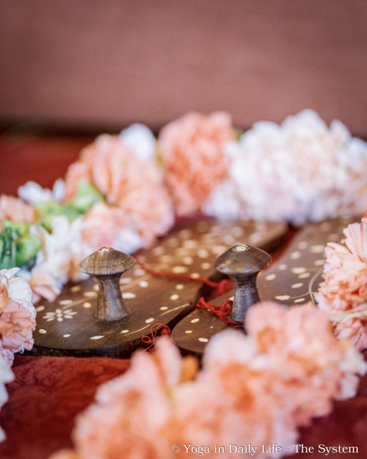 6.7. vep guru padukas wm