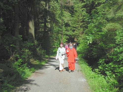 Walking in the Stenley park Walking in the Stenley park