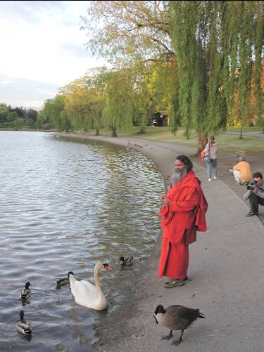 Swamiji with the swans at a lake in Vancouver park Swamiji with the swans at a lake in Vancouver park