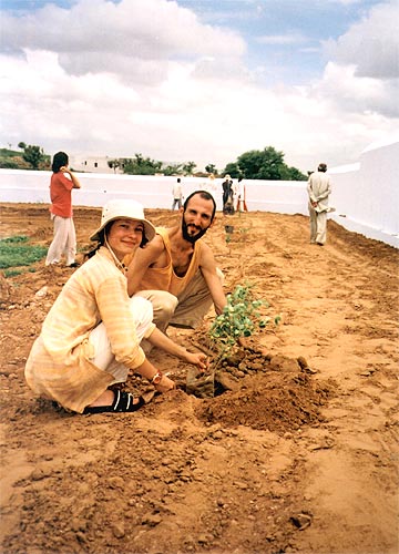 Tree planting Tree planting