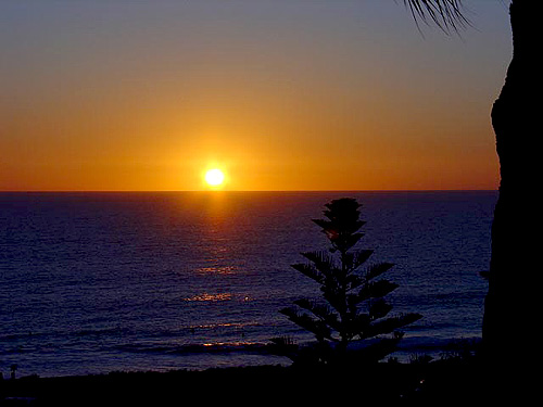 The sun sets on Swamiji\'s 2005 Australian Tour The sun sets on Swamiji\'s 2005 Australian Tour