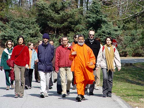 Walking in park, Atlanta Walking in park, Atlanta