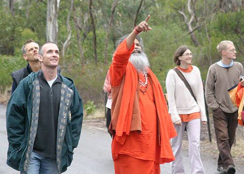 Bush walk' Bush walk