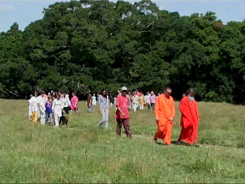 Walking on Sunshine (Coast) Walking on Sunshine (Coast)