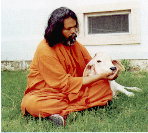 Love and compassion towards all living beings Love and compassion towards all living beings