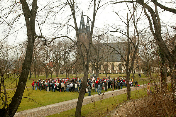 Planting a Peace Tree in Prague Planting a Peace Tree in Prague